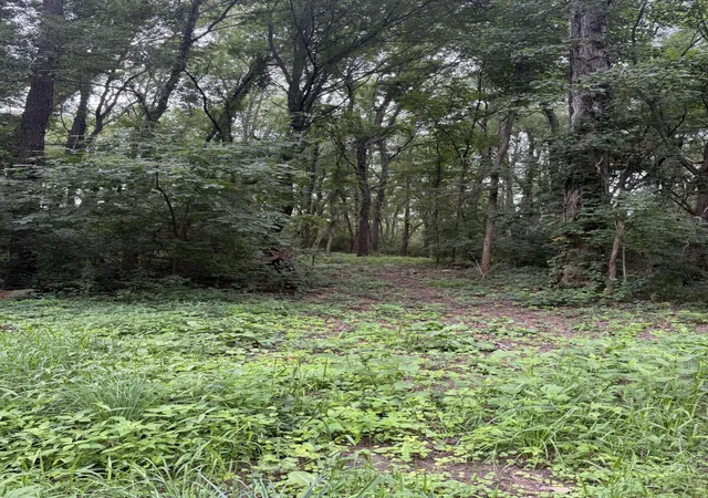 4th image of Tbd2 W 800 S, Union Mills, IN 46382 | MLS# 837407