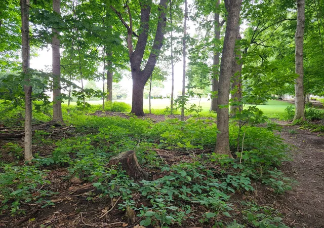 41st image of 4264 N 700 E, Rolling Prairie, IN 46371 | MLS# 843716