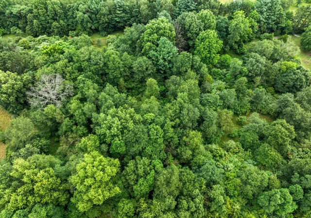 4th image of 0 S 100 W, North Judson, IN 46366 | MLS# 843635