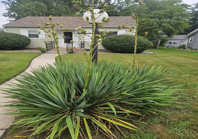 2nd image of 502 Wilshire Ave, Michigan City, IN 46360 | MLS# 843552