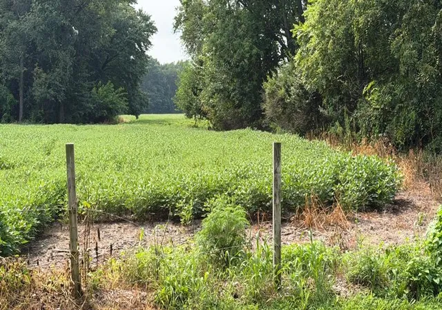 1st image of 3635 N Indiana 23, Grovertown, IN 46531 | MLS# 843807
