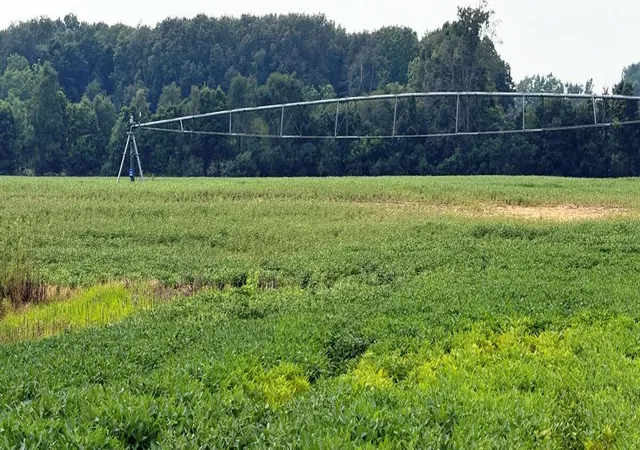 1st image of 1200 E County Road 1200 E, Grovertown, IN 46531 | MLS# 843815