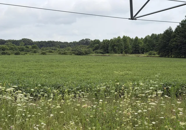 3rd image of 7400 County Line Rd, Grovertown, IN 46531 | MLS# 843818