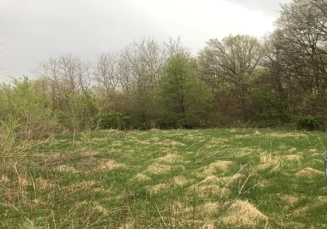 14th image of 2773 E 400 N, Rensselaer, IN 47978 | MLS# 843969