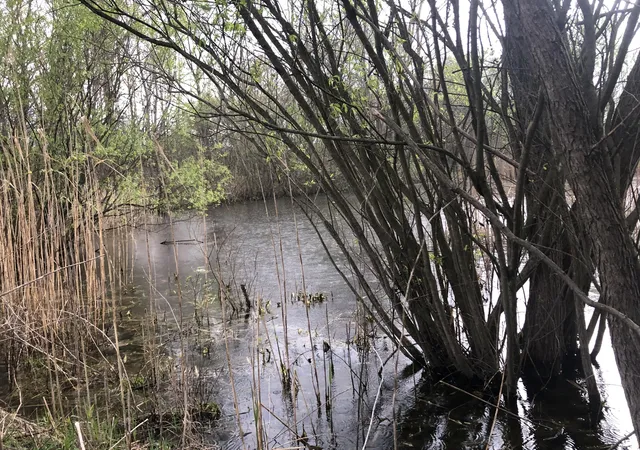 Photo 4 of Land for sale at 2773 E 400 North, Rensselaer, IN 47978 | MLS# 843969 | Listing updated on 2026-08-19