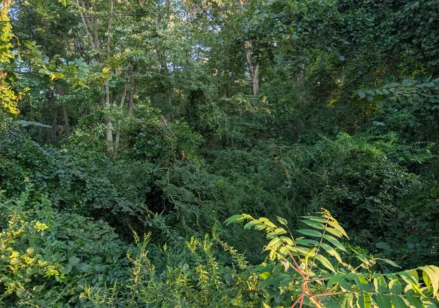 3rd image of 84 E Us Hwy 6, Valparaiso, IN 46383 | MLS# 844209
