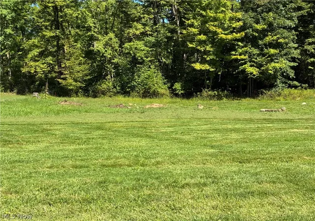 Photo 4 of Land for sale at Concord Dr, East Palestine, OH 44413 | MLS# 5240309 | Listing updated on 2026-08-30