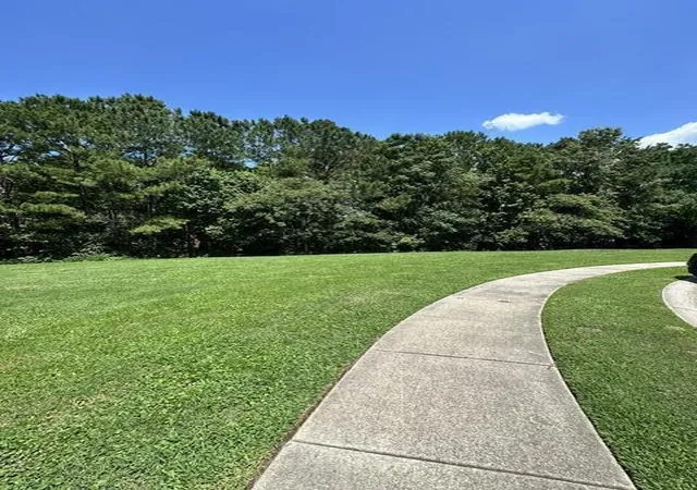 38th image of 1238 Cosmos Rd, Summerville, SC 29483 | MLS# 26019980