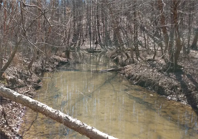 Photo 2 of Land for sale at 102 S Century Dr, Martin, GA 30557 | MLS# 20284480 | Listing updated on 2026-09-23