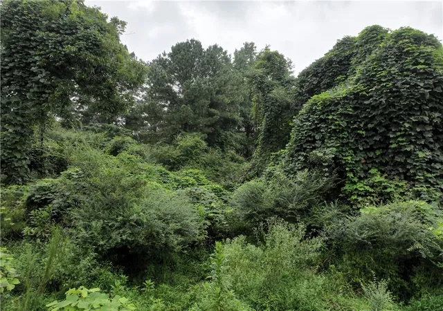 Photo 2 of Land for sale at 395 Durham Rd, Fair Play, SC 29643 | MLS# 20291559 | Listing updated on 2026-08-25