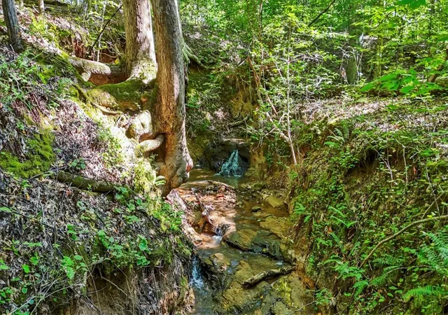 Photo 3 of Land for sale at 1443 Henderson Rd, Gray Court, SC 29645 | MLS# 20291977 | Listing updated on 2026-08-20