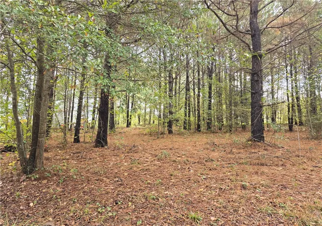 Photo 1 of Land for sale at 0 Dogwood Ln, Townville, SC 29689 | MLS# 20294183 | Listing updated on 2026-08-24
