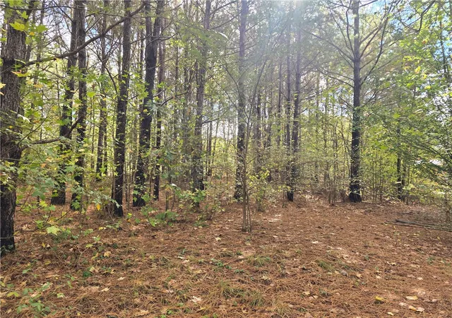 Photo 2 of Land for sale at 0 Dogwood Ln, Townville, SC 29689 | MLS# 20294183 | Listing updated on 2026-08-24