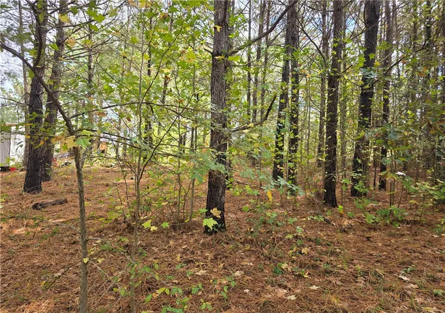 Photo 3 of Land for sale at 0 Dogwood Ln, Townville, SC 29689 | MLS# 20294183 | Listing updated on 2026-08-24