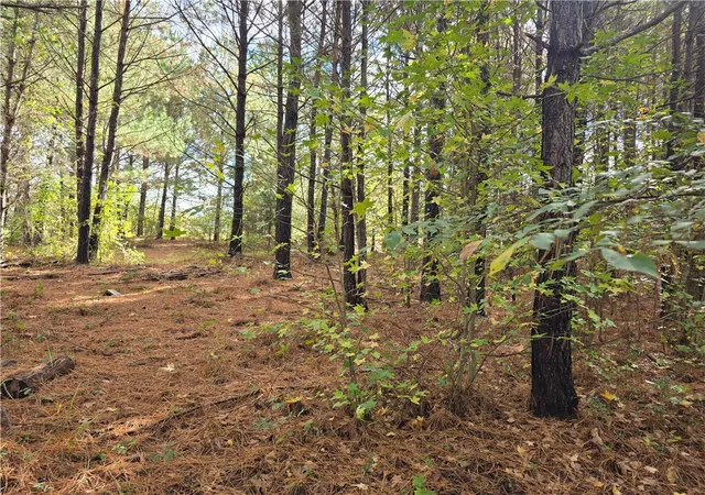 Photo 4 of Land for sale at 0 Dogwood Ln, Townville, SC 29689 | MLS# 20294183 | Listing updated on 2026-08-24