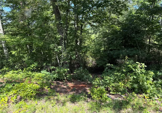 Photo 15 of Land for sale at 1130 Packs Mountain Ridge Rd, Taylors, SC 29687 | MLS# 20294979 | Listing updated on 2026-08-30