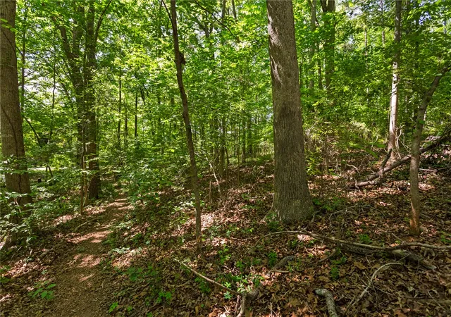 Photo 4 of Land for sale at 00 Sequayah Dr, Fair Play, SC 29643 | MLS# 20296472 | Listing updated on 2026-08-21