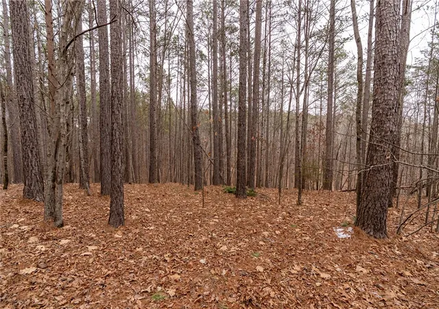 Photo 14 of Land for sale at 109 Hawks Bay Ct, Six Mile, SC 29682 | MLS# 20297052 | Listing updated on 2026-08-21