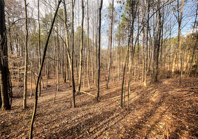 Photo 4 of Land for sale at 00 Lakeside Dr, Union, SC 29379 | MLS# 20297766 | Listing updated on 2026-08-17