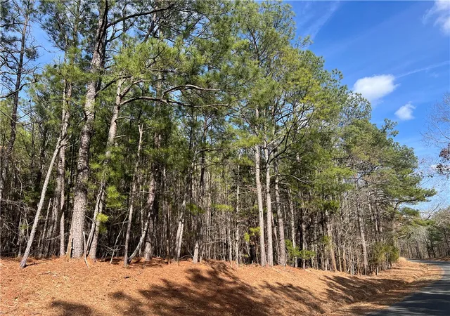 Photo 4 of House for sale at 00 Bell Fld Rd, Mc Cormick, SC 29835 | MLS# 20297871 | Listing updated on 2026-08-20