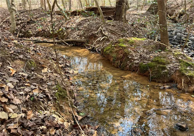 Photo 2 of Land for sale at Tract B Cann Rd, Anderson, SC 29625 | MLS# 20298201 | Listing updated on 2026-09-11