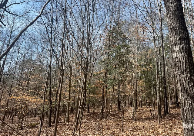 Photo 3 of Land for sale at Tract B Cann Rd, Anderson, SC 29625 | MLS# 20298201 | Listing updated on 2026-09-11