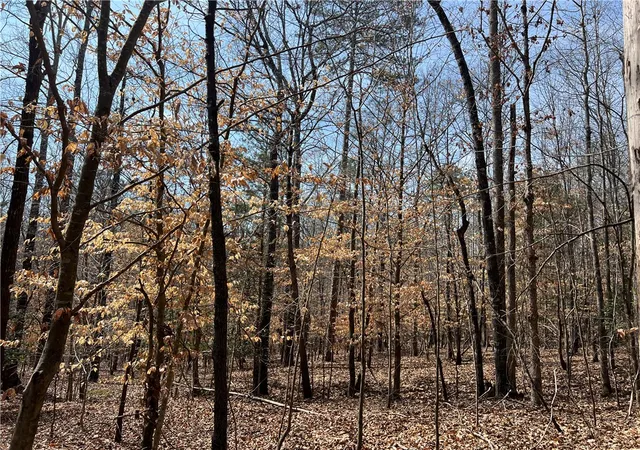 Photo 4 of House for sale at Tract B Cann Rd, Anderson, SC 29625 | MLS# 20298201 | Listing updated on 2026-09-11