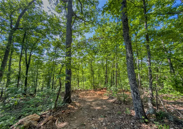 Photo 20 of Land for sale at 611 Packs Mountain Ridge Rd, Taylors, SC 29687 | MLS# 20301034 | Listing updated on 2026-08-29