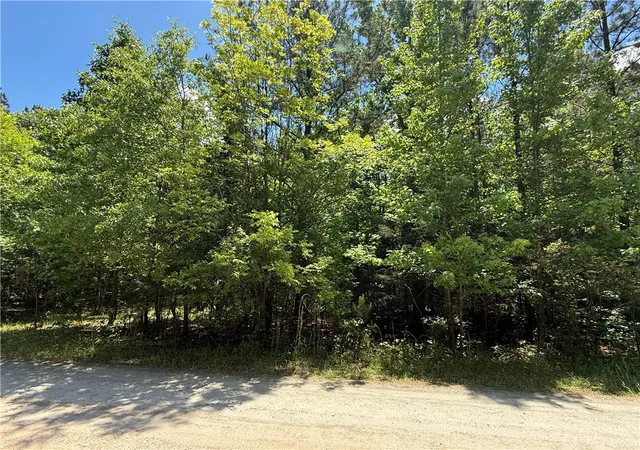 Land for sale at 106 Fawn Dr, Honea Path, SC 29654 | MLS# 20300869