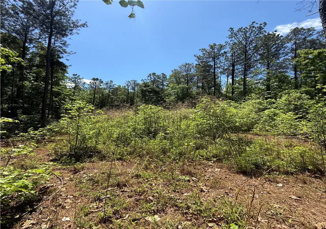 Photo 2 of Land for sale at 106 Fawn Dr, Honea Path, SC 29654 | MLS# 20300869 | Listing updated on 2026-09-22