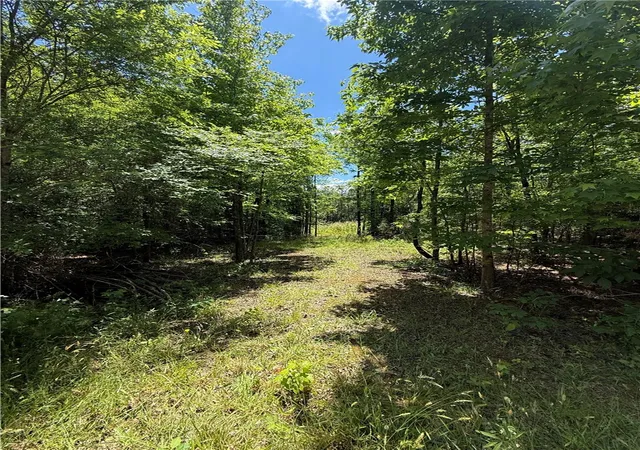 Photo 3 of Land for sale at 106 Fawn Dr, Honea Path, SC 29654 | MLS# 20300869 | Listing updated on 2026-09-22