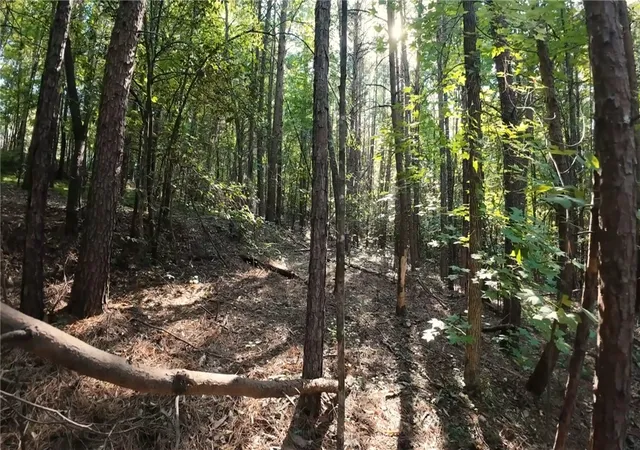 Photo 4 of Land for sale at 208 Sparks Ln, Pickens, SC 29671 | MLS# 20301398 | Listing updated on 2026-09-22