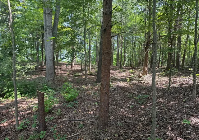 Photo 21 of Sale Pending at 306 Fox Fire Rd, Central, SC 29630 | MLS# 20303179 | Listing updated on 2026-08-08