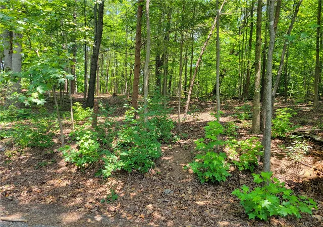 Photo 4 of Sale Pending at 306 Fox Fire Rd, Central, SC 29630 | MLS# 20303179 | Listing updated on 2026-08-08