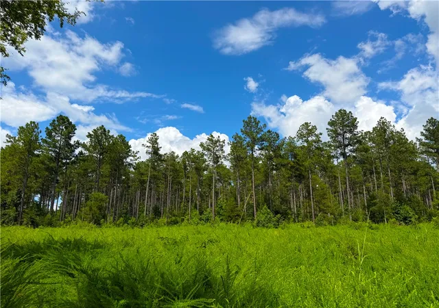 Photo 2 of Land for sale at 1008 Seneca St Ext, Calhoun Falls, SC 29628 | MLS# 20303593 | Listing updated on 2026-08-17