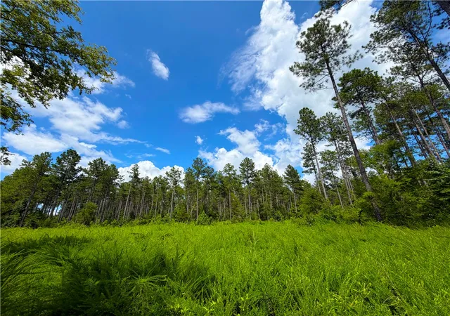 Photo 3 of Land for sale at 1008 Seneca St Ext, Calhoun Falls, SC 29628 | MLS# 20303593 | Listing updated on 2026-08-17