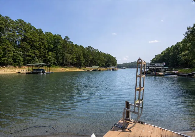 20th image of 1 Pineneedle Trl, Martin, GA 30557 | MLS# 20304567