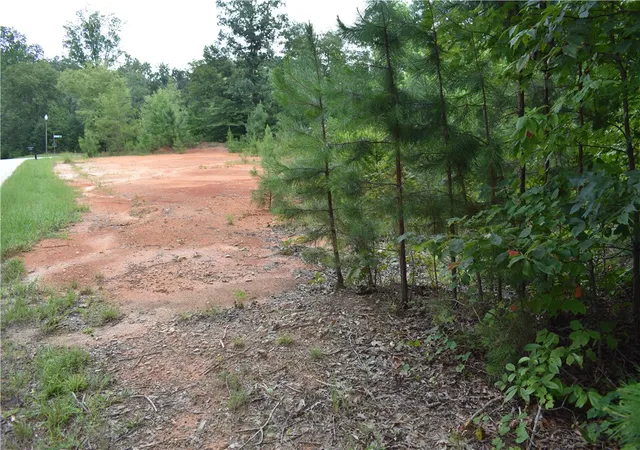 Land for sale at 428 Falcons Lair W Dr, Walhalla, SC 29691 | MLS# 20304661