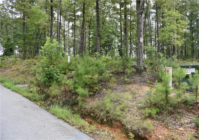 Land for sale at 442 Falcons Lair W Dr, Walhalla, SC 29691 | MLS# 20304703