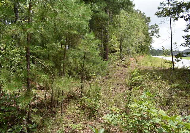 Photo 2 of Land for sale at 442 Falcons Lair W Dr, Walhalla, SC 29691 | MLS# 20304703 | Listing updated on 2026-08-06