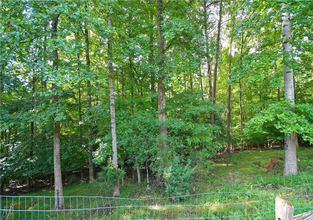 43rd image of 103 Fond Du Lac Dr, Central, SC 29630 | MLS# 20304765