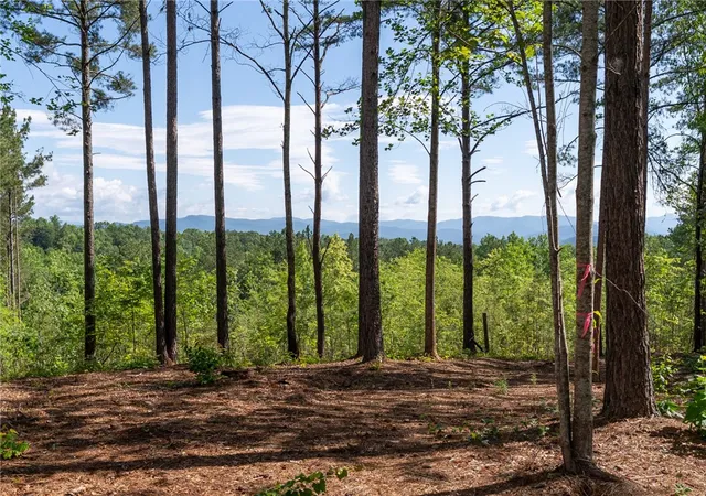 3rd image of Lot 1 Canebrake Ests, Salem, SC 29676 | MLS# 20304638