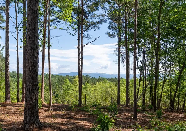 4th image of Lot 1 Canebrake Ests, Salem, SC 29676 | MLS# 20304638