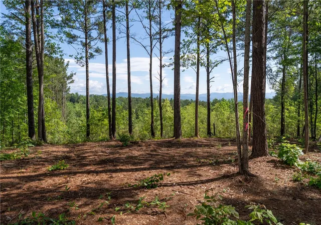 5th image of Lot 1 Canebrake Ests, Salem, SC 29676 | MLS# 20304638
