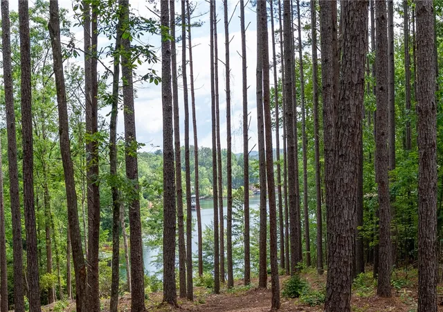 Photo 3 of Land for sale at Lot 5 Canebrake Ests, Salem, SC 29676 | MLS# 20304639 | Listing updated on 2026-08-07