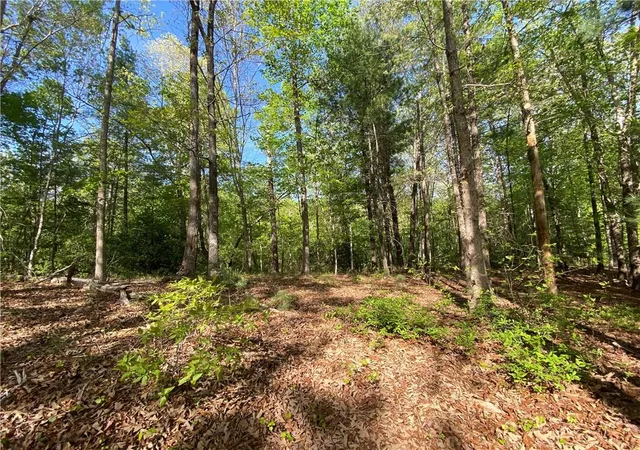 1st image of 101 Wake Robin Dr, Sunset, SC 29685 | MLS# 20304836