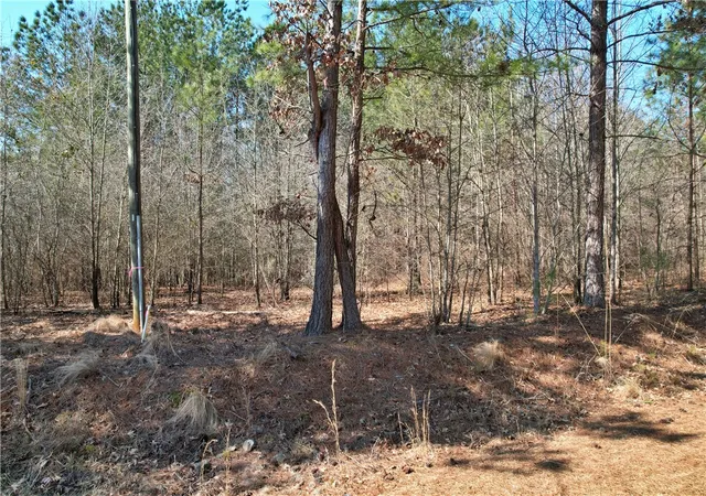 1st image of Lot 134 Mcalister Rd, West Union, SC 29696 | MLS# 20304848