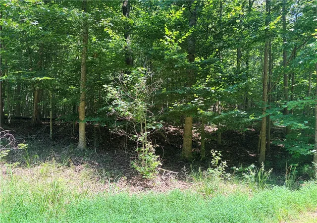Photo 1 of Land for sale at 2176 N Lot Sundew Dr, Westminster, SC 29693 | MLS# 20304853 | Listing updated on 2026-08-08