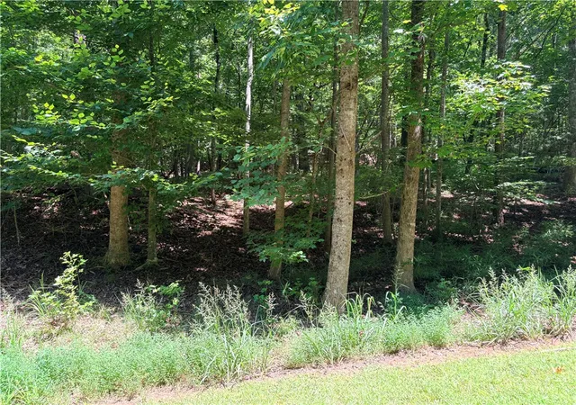 Photo 2 of Land for sale at 2176 N Lot Sundew Dr, Westminster, SC 29693 | MLS# 20304853 | Listing updated on 2026-08-08