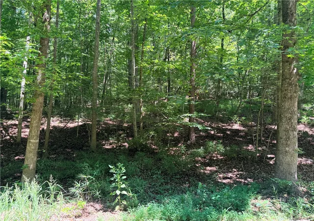 Photo 3 of Land for sale at 2176 N Lot Sundew Dr, Westminster, SC 29693 | MLS# 20304853 | Listing updated on 2026-08-08
